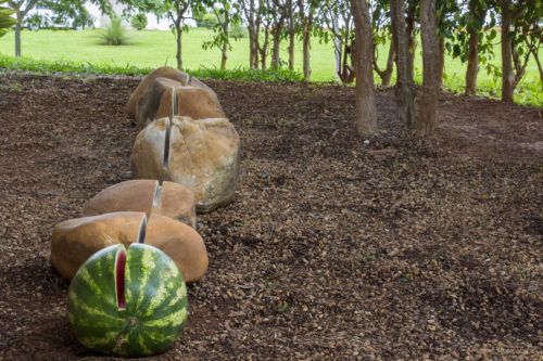 Roland Gebhardt
Pedra Paranoá, 2017
Medidas variáveis