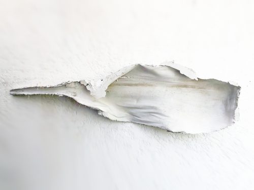 André Kruysen
Folha | Leaf
Gesso e arame | Plaster and wire
67 x 270 x 25 cm
2019