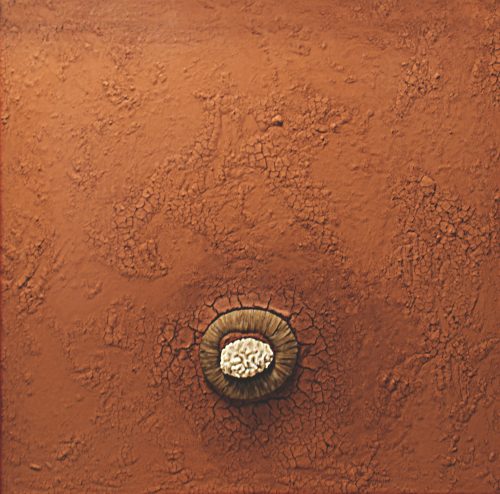 Bené Fonteles
Sem Título | Untitled, 2004
Coral marinho, objeto indígena e terra de Brasília sobre madeira
Marine coral, indigenous artifact, and soil from Brasília on wood.
118 x 118 x 5