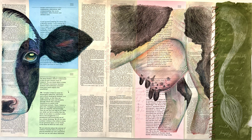 Demi Kaia
Uma vaca é uma vaca? | A cow is a cow?, 2025
Tinta e lápis sobre papel | ink and pencil on paper
60 x 108 cm | 21 x 42 in