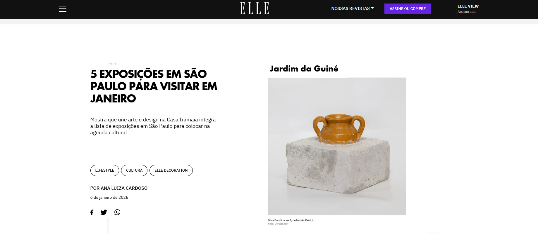 jardim da guine-moises-patricio-galeria-karla-osorio-sao-paulo